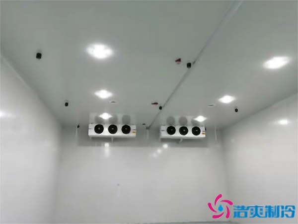 建造彩椒保鲜冷库安装费用需要多少钱？