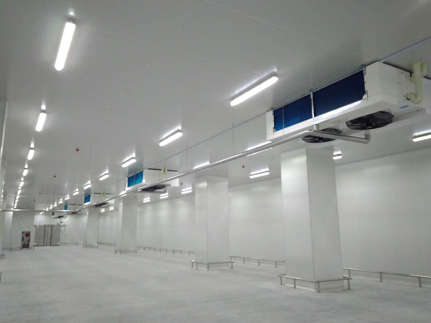 长沙洽洽食品厂建造4000m3坚果产能提升项目冷库工程案例 长沙洽洽食品厂建造4000m3坚果产能提升项目冷库工程案例