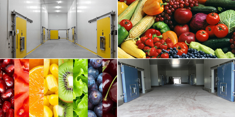 气调保鲜库 大中型果蔬冷藏库安装 冷库定制安装 气调保鲜库 大中型果蔬冷藏库安装 冷库定制安装