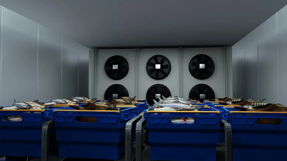 海鲜冷库建设用以保鲜冷藏海产品 海鲜冷库建设用以保鲜冷藏海产品