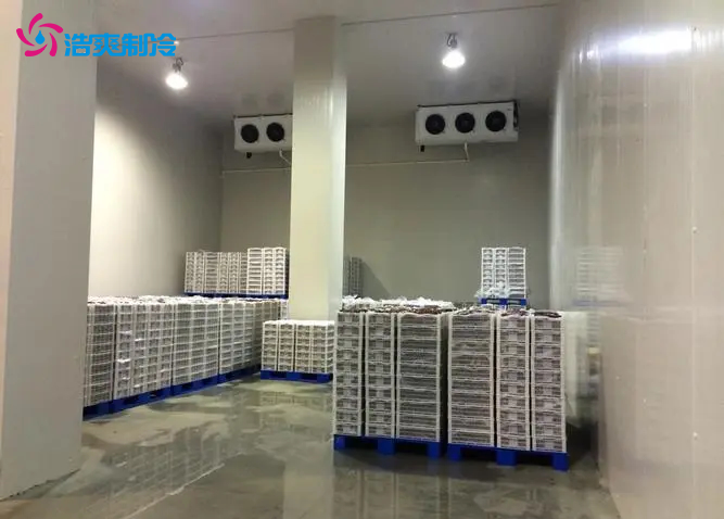 牛奶乳制品冷库建造 牛奶乳制品冷库建造