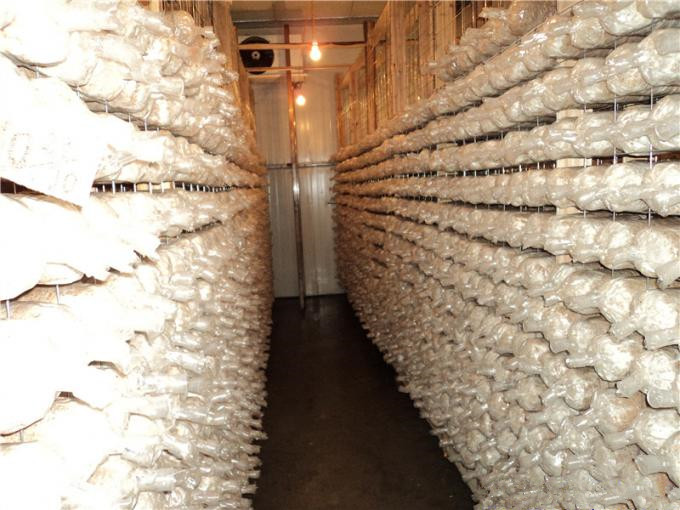 建一个100平方香菇冷库全套要多少钱？