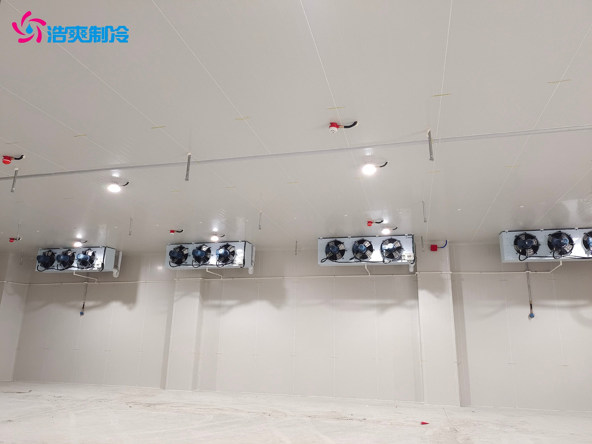 定制IICT4电子化工防爆冷库安装设计建造施工方案 定制IICT4电子化工防爆冷库安装设计建造施工方案