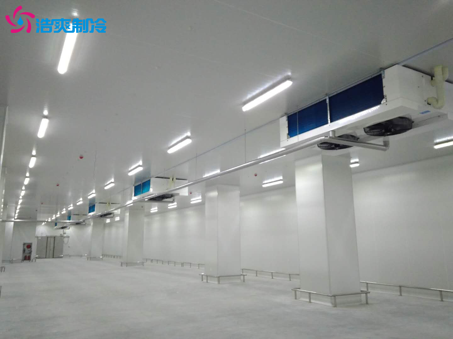 建造一个冷库大概需要多少钱？