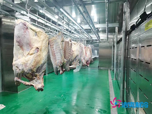 建造一个肉类排酸冷库安装造价成本大概多少钱？