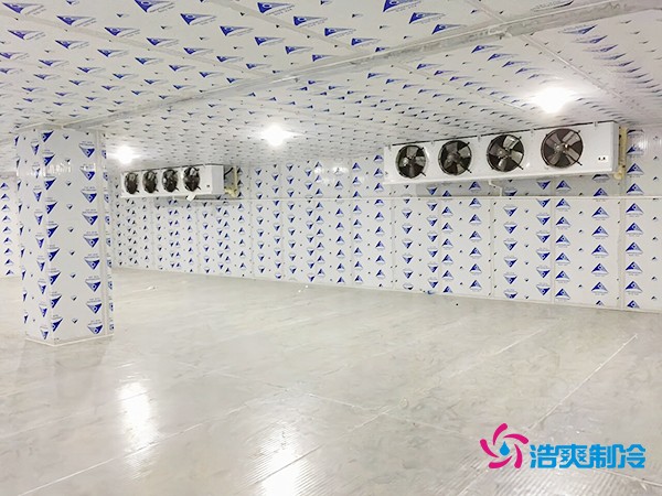 冷库造价一平米如何计算？智能冷库建造方案再降百元！