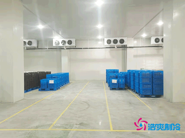 建造一座5000平方米的冷藏库造价需要多少资金?