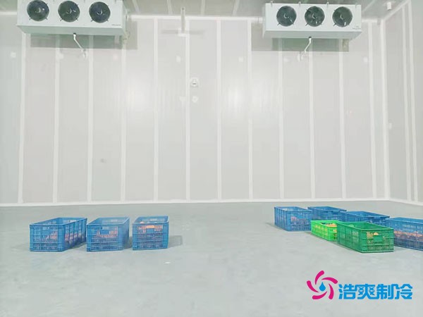 200吨蔬菜保鲜冷库造价多少钱？需要多大面积？