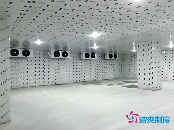 100平米冷冻库安装费用及造价多少钱？