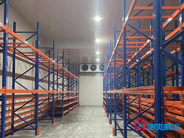 建中型冷库要花多少钱？这些关键因素你必须知道-浩爽制冷