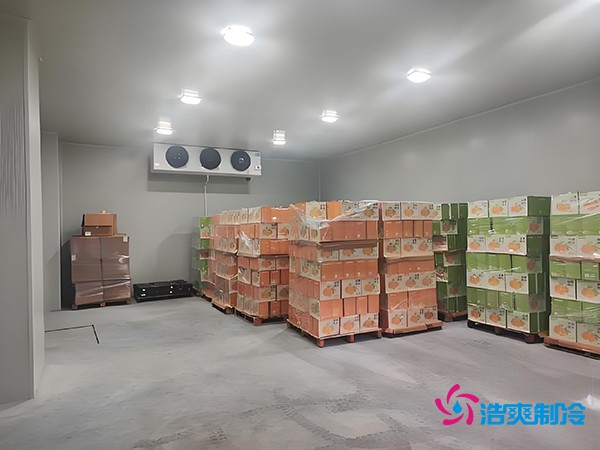 1000吨果蔬保鲜库造价揭秘，节省成本就靠这几点！