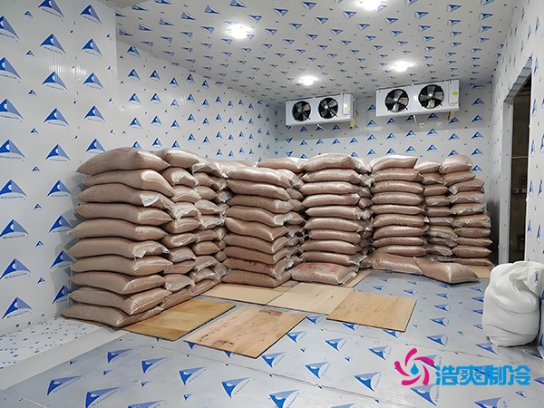 2万起建种子冷库？这些因素让造价翻倍！