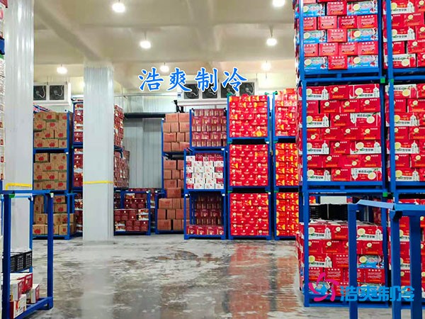 500平果蔬冷库造价曝光！35万起建，省钱秘诀在这里！