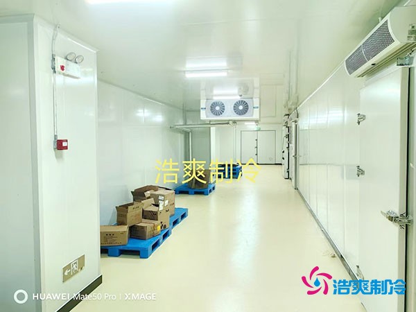 建造一个小型红酒冷库的大致造价费用多少钱？