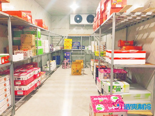 5吨水果需要多大冷库？答案出乎意料！
