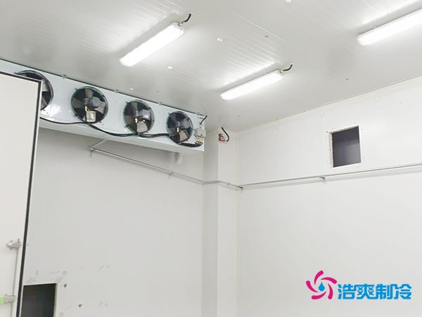 上海小型冷库造价揭秘！2万起真的靠谱吗？