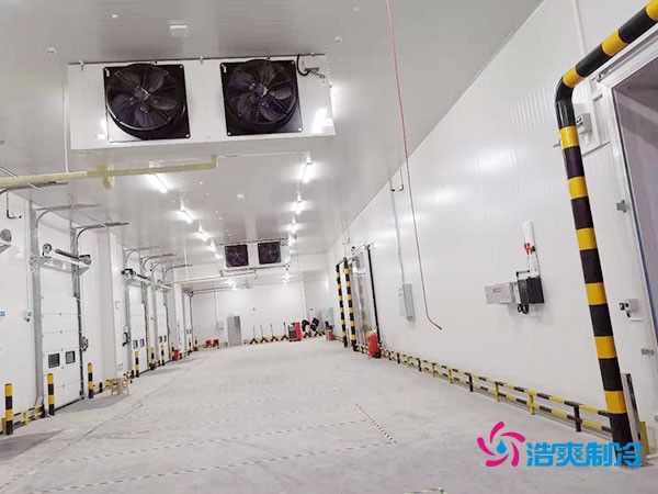 建设冷冻库每平米造价多少钱？冷冻库造价关键因素解析