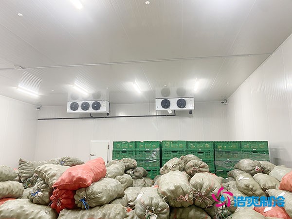 蔬菜保鲜库建设