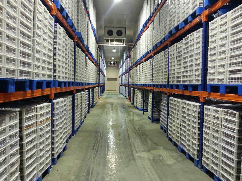 100吨水果蔬菜冷库