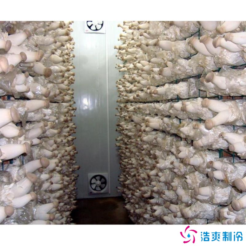 蘑菇冷库建造成本多少钱,蘑菇冷藏方法哪些