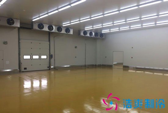 1500吨海鲜冷库设计，冷库造价多少钱