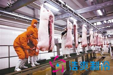 3000立方冻肉冷库设计造价费用是多少？由于国家对冷链物流的重视，冷链物流行业的发展逐渐增长趋势，冷链物流也正在慢慢改变人们的生活。