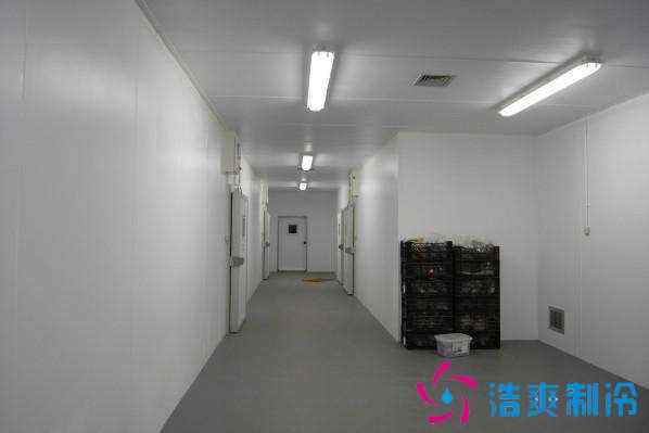 预建1000吨果蔬冷库设计规划,冷库价格多少钱