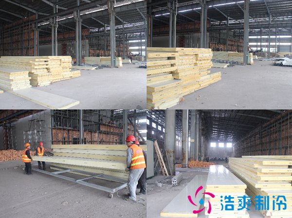 1000吨大白菜保鲜库