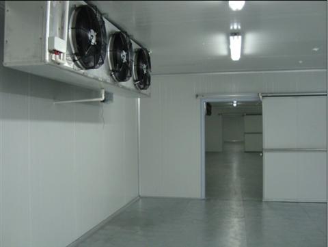5000吨肉制品冷冻库造价预算，上海建冷库哪家好