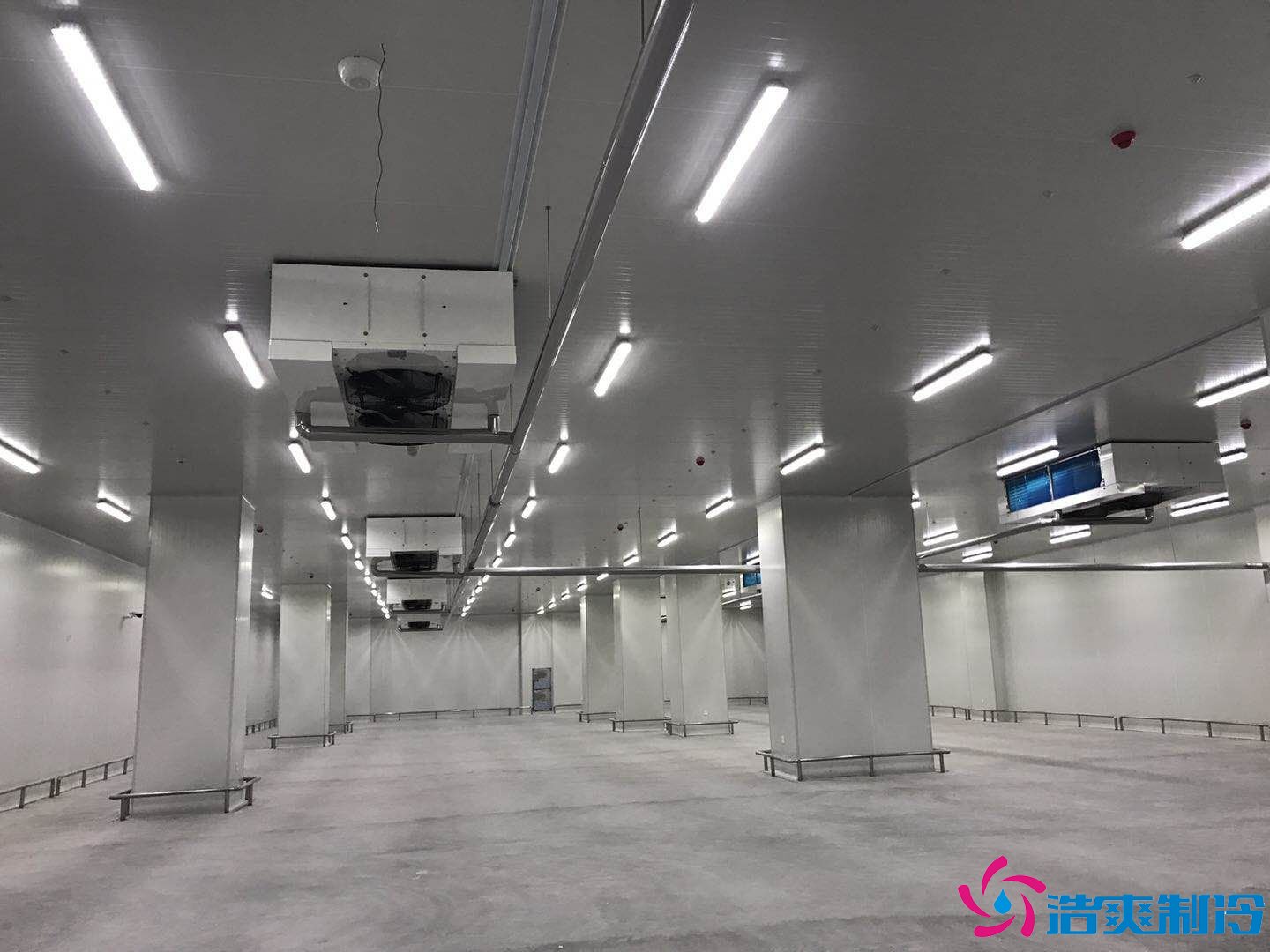 2000平米生鲜食品物流冷库(生鲜冷链仓储)冷库报价