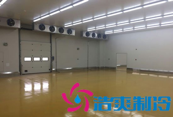 港口冷链冷库市场趋势和现状，万吨港口冷链低温仓储造价预算