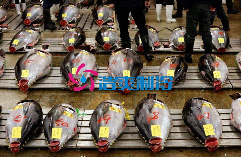 浩爽制冷，金枪鱼冷库，超低温冷冻库