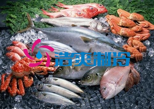 浩爽制冷，海鲜冷冻库、食品冷冻库
